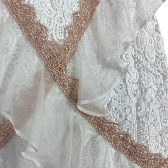 Amur Topeka Lace and Silk Dress - Picture 4 of 14